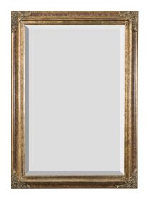 Mini Grand Victorian Mirror 24X36 Burl Marble Gold