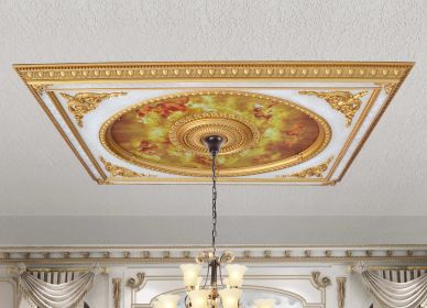 Classical Design Rectangular Ceiling Medallion 6Ft X 8Ft