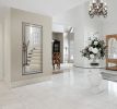 Brushed Spectrum Mirror 45X81Mc