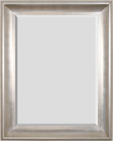 The Sterling Mirror 36X48 Silver With Champagne Wash