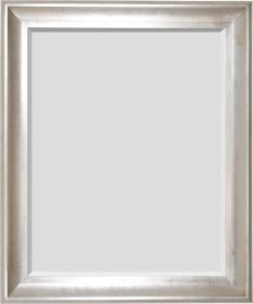 The Sterling Mirror 48X60 Silver With Champagne Wash