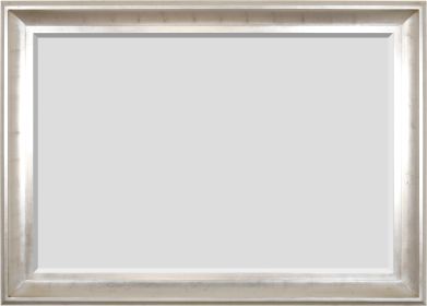The Sterling Mirror 48X72 Silver With Champagne Wash