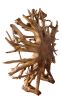 Teak Root Architectural Piece With Stand  B