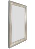 Silver Raven Mirror 36X72Tsb