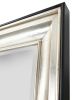 Silver Raven Mirror 36X72Tsb