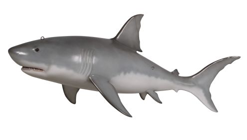 Great White Shark 6Ft