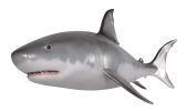 Wall Mounted Great White Shark 6Ft