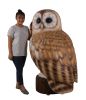 Tawny Owl 5Ft