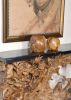 Teak Natural Vases Set Of 2