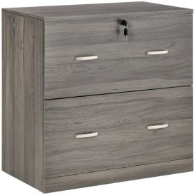 2 Drawer File Cabinet with Lock, Office Filing Cabinet, Hanging Bar for Letter Size, Home Office, Grey