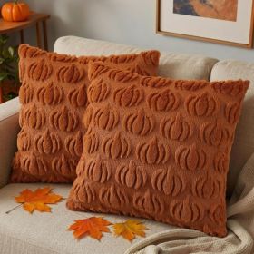 Light Rust Pumpkin Throw Pillow Covers 18x18 Set Of 2